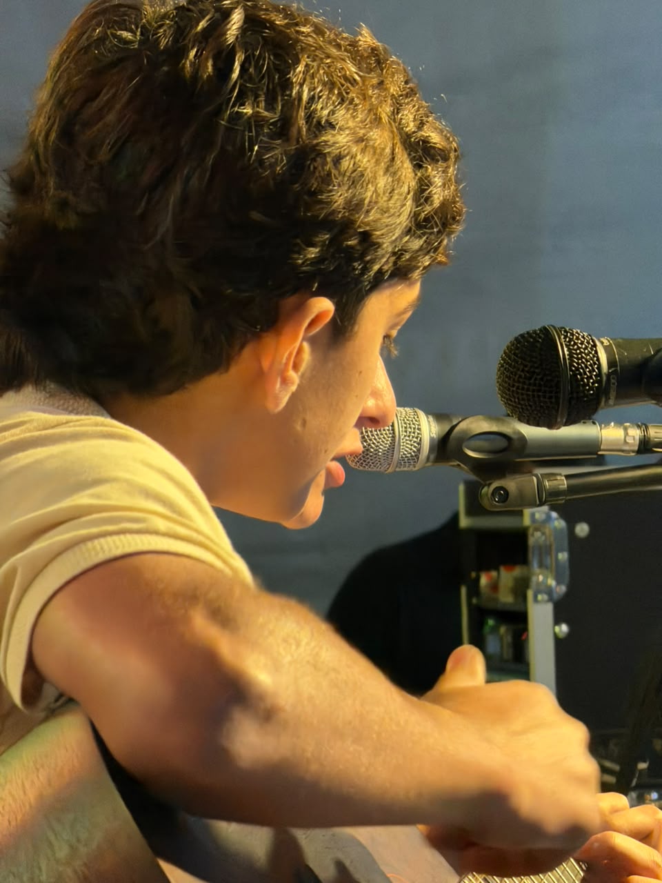 Detalhe de apresentação com violão e microfone